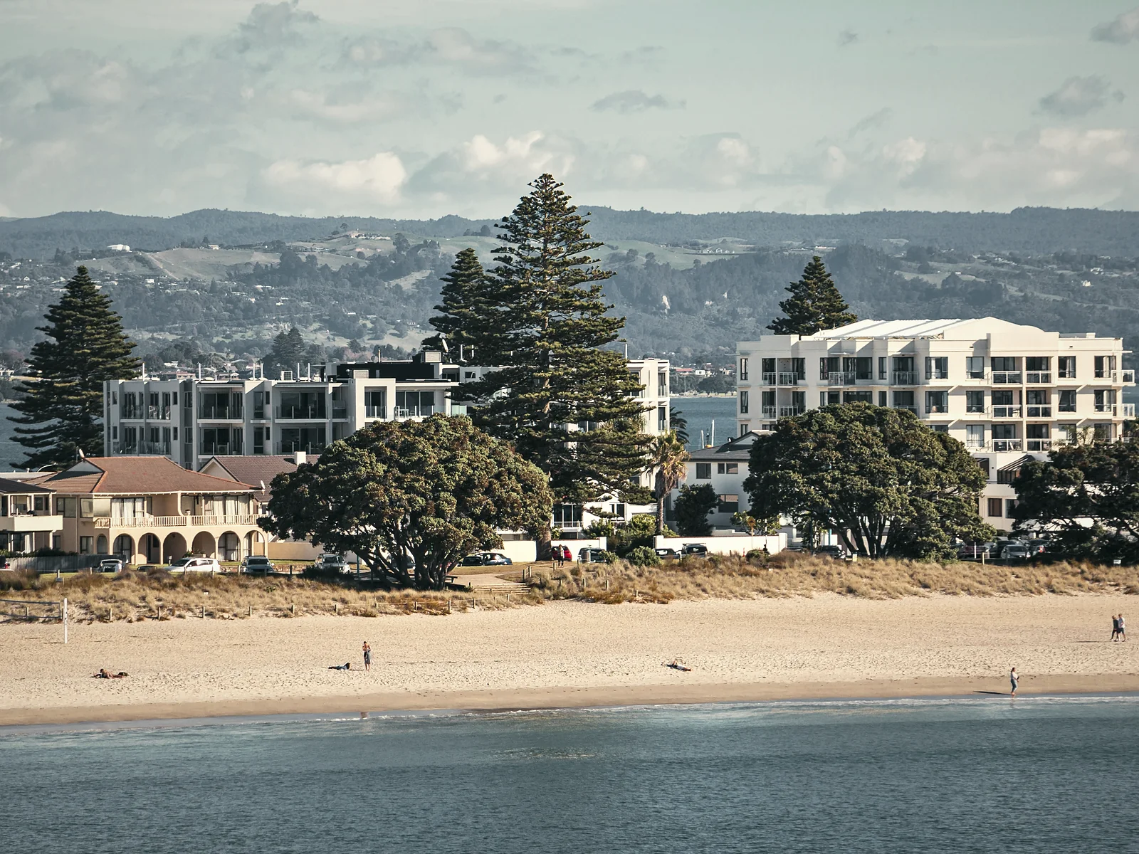 Low-rise apartments and pōhutukawa behind a beach in late light